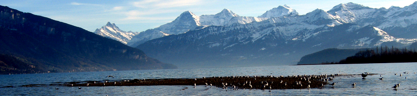 thunersee-02